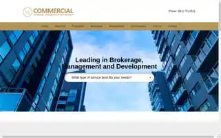 Lccommercialre.com Screenshot 2024-06-14 00:41:17