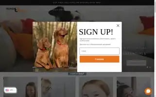 Trendifresh.com Screenshot 2024-05-03 22:54:44
