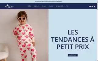 Roseetbleu-dz.com Screenshot 2024-05-22 19:55:46
