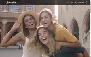 Diversiflytravel.com Screenshot 2024-04-17 17:37:49