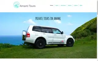 Amamitours.com Screenshot 2024-04-26 06:37:21