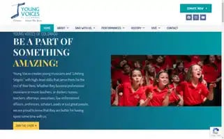 Youngvoices.org Screenshot 2024-06-11 07:56:29