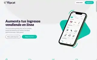 Flipcat.io Screenshot 2024-06-27 18:25:29