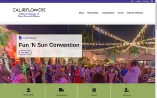 Cafgs.org Screenshot 2024-07-03 12:45:10