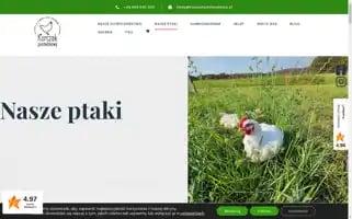 Kurczakpastwiskowy.pl Screenshot 2024-05-27 20:15:38