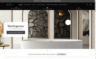Bienorganiser.com Screenshot 2024-05-04 00:34:51