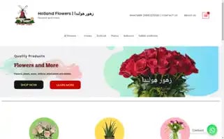 Hollandflowersshop.com Screenshot 2024-05-19 14:58:09