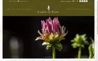 Campodefiori.com Screenshot 2024-06-12 10:00:59