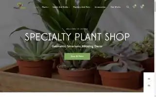 Plantropan.com Screenshot 2024-05-19 05:51:00