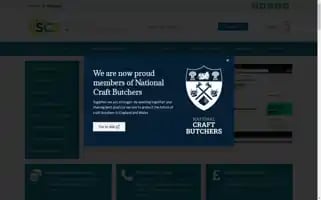 Southcoastsystems.co.uk Screenshot 2024-06-14 06:37:02