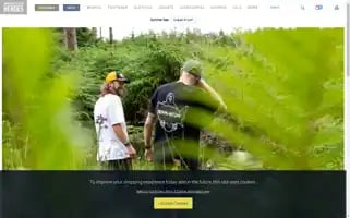 Workingclassheroes.co.uk Screenshot 2024-07-09 08:55:31