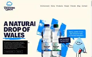 Princesgate.com Screenshot 2024-06-18 12:12:45