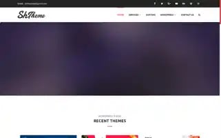 Shtheme.org Screenshot 2024-06-14 05:12:54