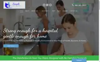 Simpleelementsclean.com Screenshot 2024-06-16 16:13:18