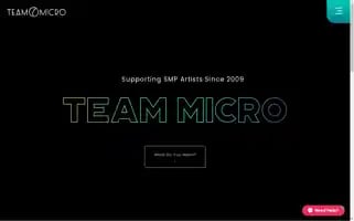 Teammicro.com Screenshot 2024-06-14 16:23:19