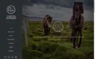 Islandpferde-schrader.de Screenshot 2024-07-08 18:02:38