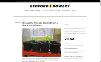 Bedfordandbowery.com Screenshot 2024-05-08 17:43:48