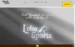 Lobo.team Screenshot 2024-06-16 06:41:20