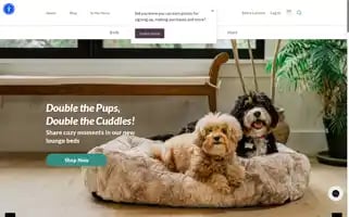 Petplay.com Screenshot 2024-05-04 11:09:39