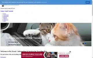 Pettravel.com Screenshot 2024-04-26 23:01:36