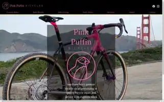 Pinkpuffinbicycles.com Screenshot 2024-07-04 17:10:09