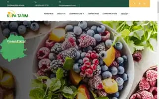Kupatarim.com Screenshot 2024-06-28 03:26:02