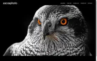 Sacasphoto.com Screenshot 2024-06-19 06:50:25