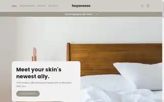 Heysnooze.com Screenshot 2024-05-03 22:32:25
