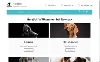 Reynoxx.ch Screenshot 2024-05-24 21:05:43