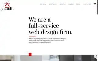 Plaudit.com Screenshot 2024-06-13 05:13:49