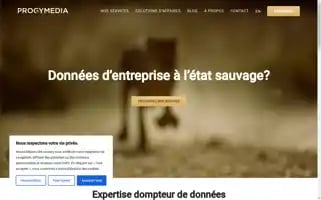 Progymedia.com Screenshot 2024-07-02 07:47:15