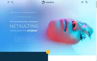 Netsulting.fr Screenshot 2024-07-01 12:27:12