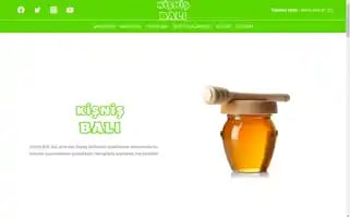Kisnisbali.com Screenshot 2024-06-26 23:25:52