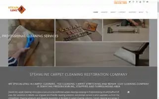 Steamlinepro.com Screenshot 2024-05-14 02:09:09