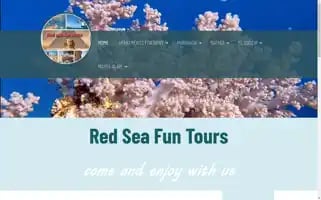 Redseafuntours.com Screenshot 2024-04-16 19:11:28