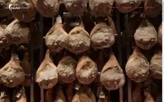 Cochonstoutronds.com Screenshot 2024-07-08 05:46:48