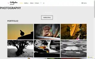 Artbyidan.com Screenshot 2024-05-22 07:47:49