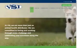 Vsi.cc Screenshot 2024-06-26 16:48:24