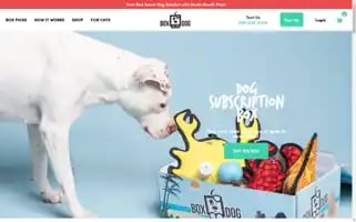 Boxdog.com Screenshot 2024-05-04 10:55:23