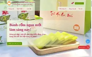 Nguyenninh.net Screenshot 2024-06-16 20:32:29