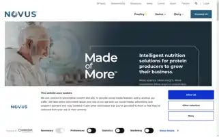 Novusint.com Screenshot 2024-06-26 13:24:49