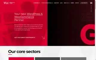 Whitelabelcoders.com Screenshot 2024-06-16 13:17:40