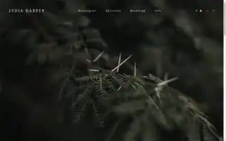 Lydiaharperphotography.com Screenshot 2024-06-12 01:34:19