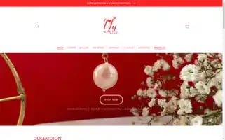 Yyaccesorio.com Screenshot 2024-04-27 11:48:48