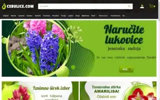 Cebulice.com Screenshot 2024-05-21 13:58:26
