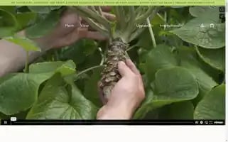 Nordicwasabi.is Screenshot 2024-05-06 00:05:29