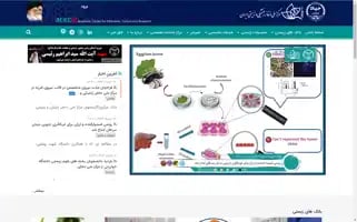 Ibrc.ir Screenshot 2024-06-14 07:31:49