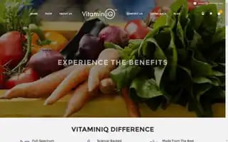 Vitaminiq.com Screenshot 2024-05-05 09:59:39
