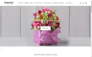 Teuscherphiladelphia.com Screenshot 2024-05-05 12:31:35