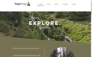 Magicforesttours.com Screenshot 2024-04-25 20:27:49